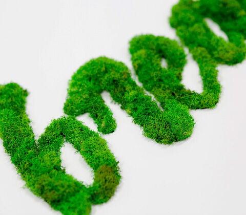 Moss Art