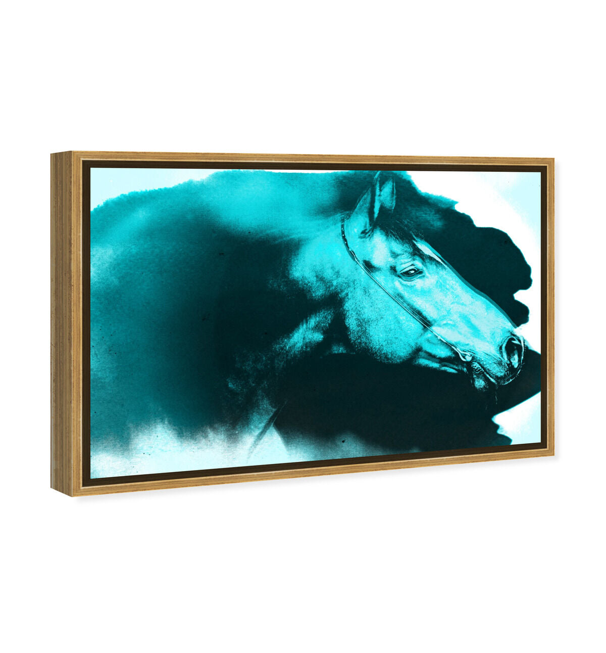 54x36/Framed Canvas/PSGLD