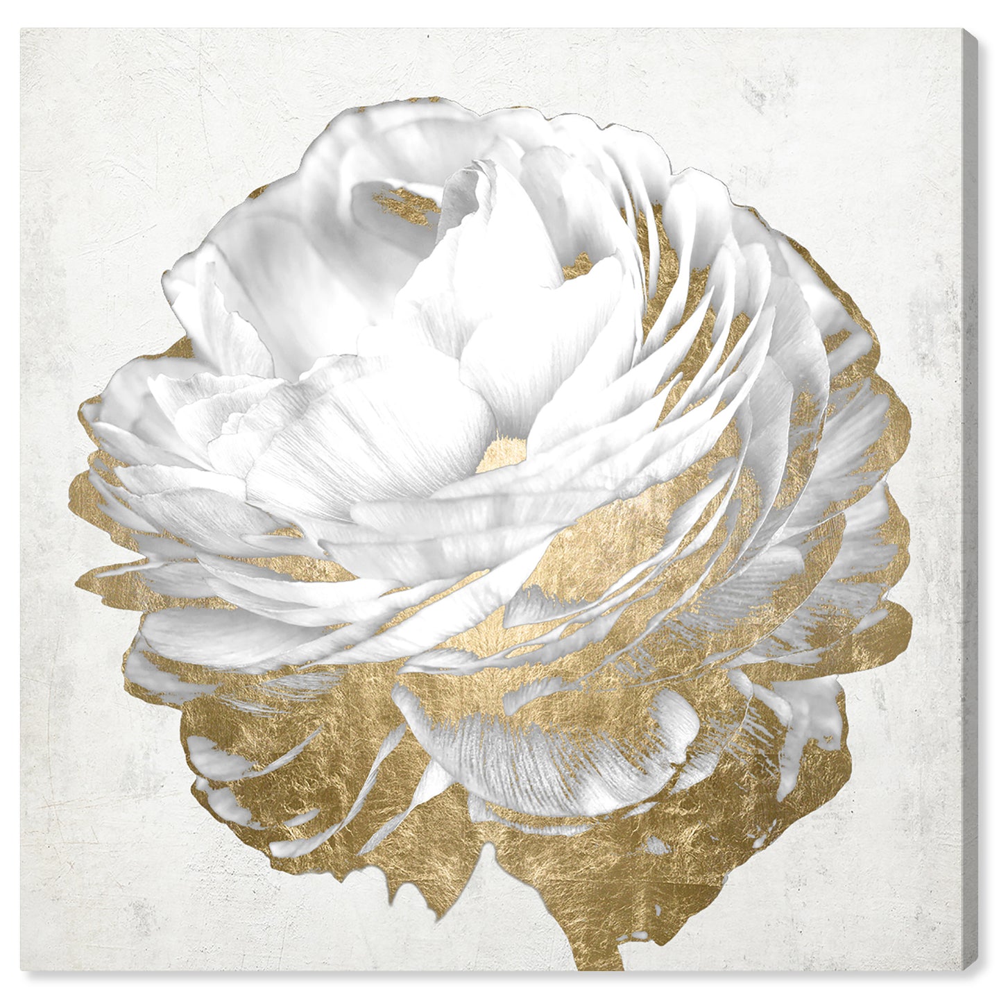Gold and Light Floral White