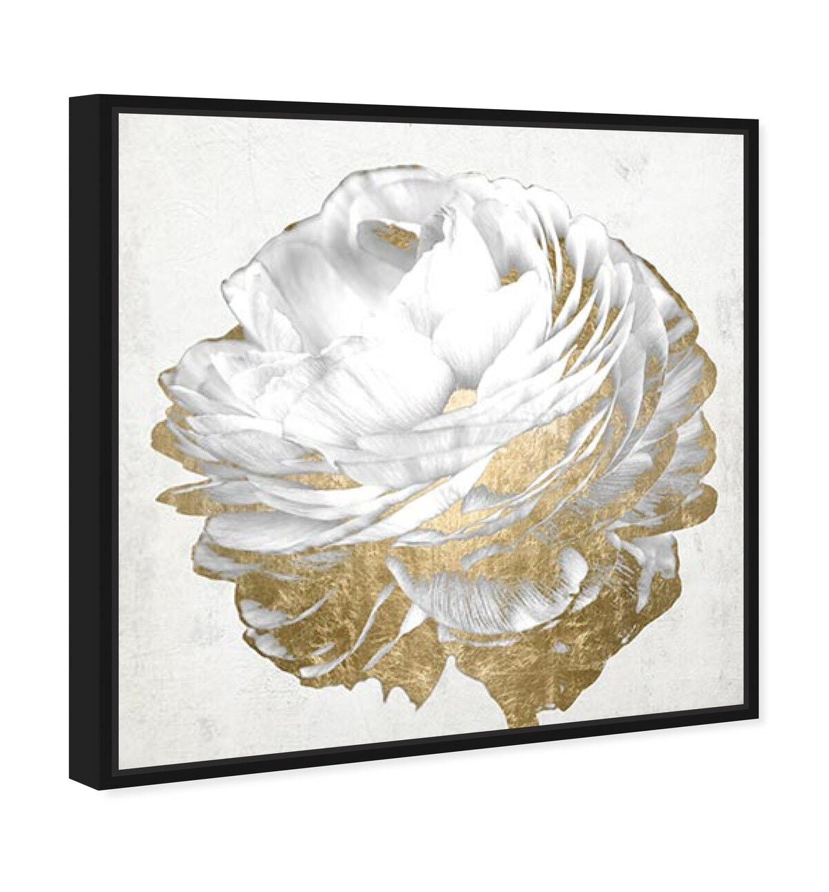 40x40/Canvas/BFL