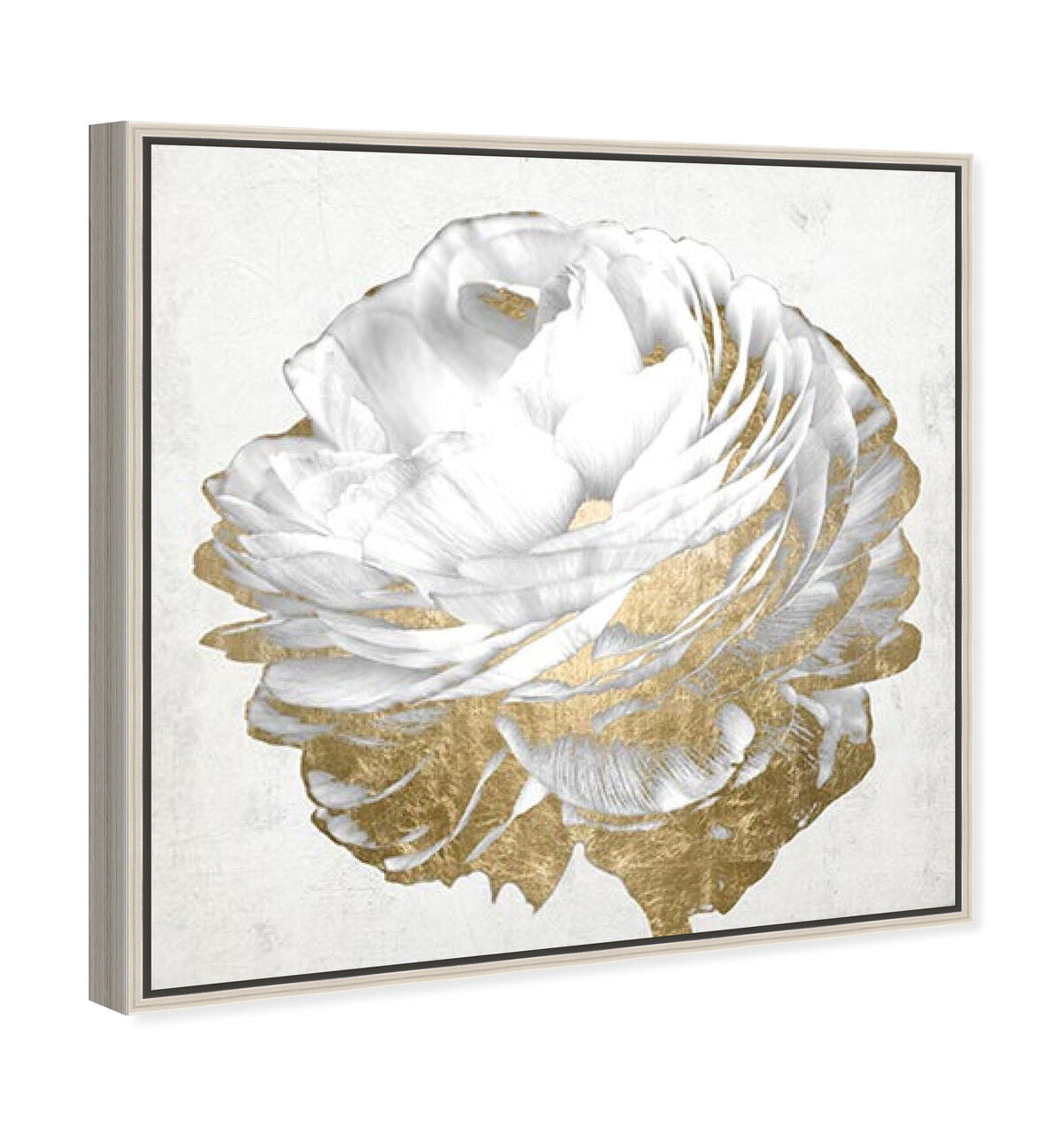 40x40/Canvas/CFL