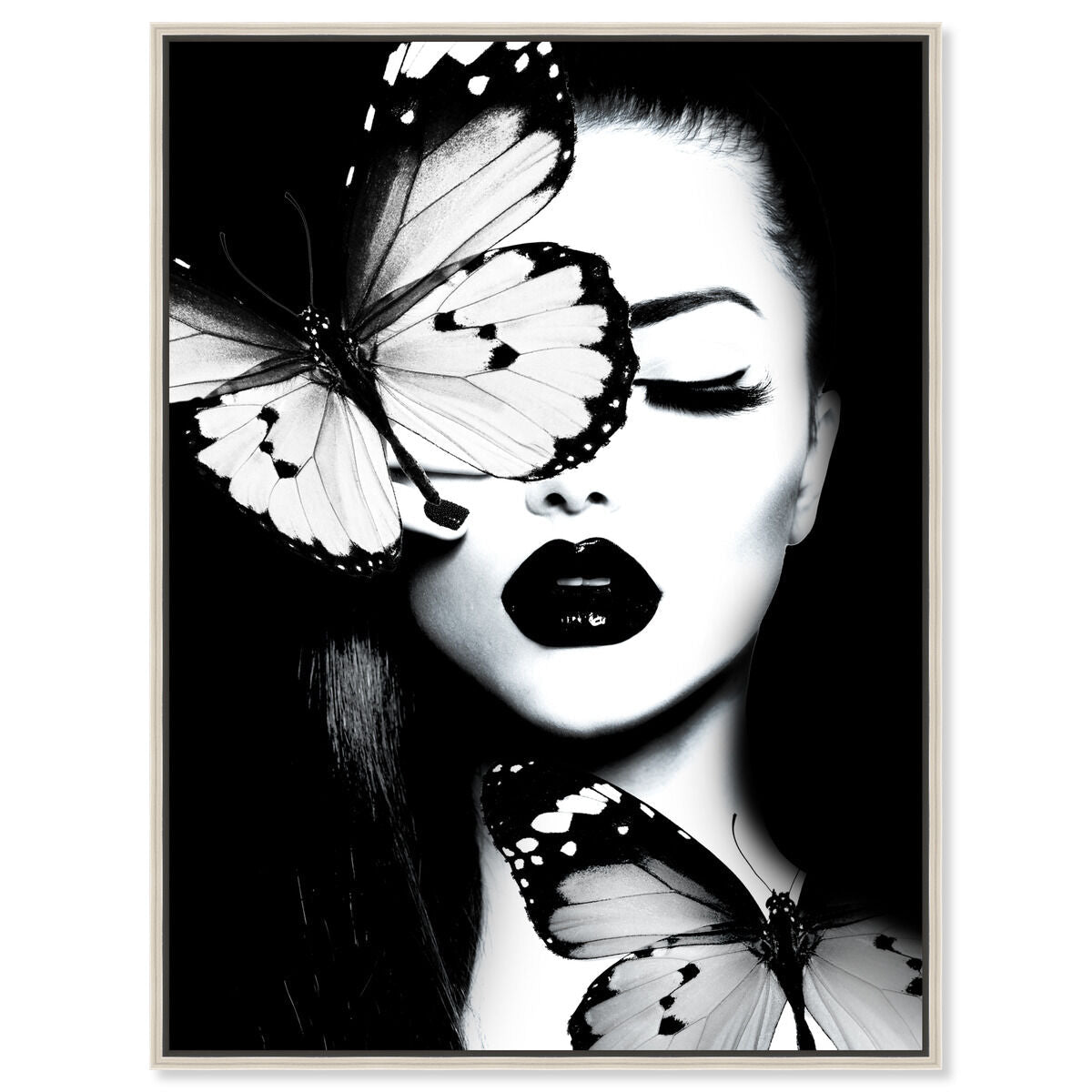 Dutchess of The Butterflies