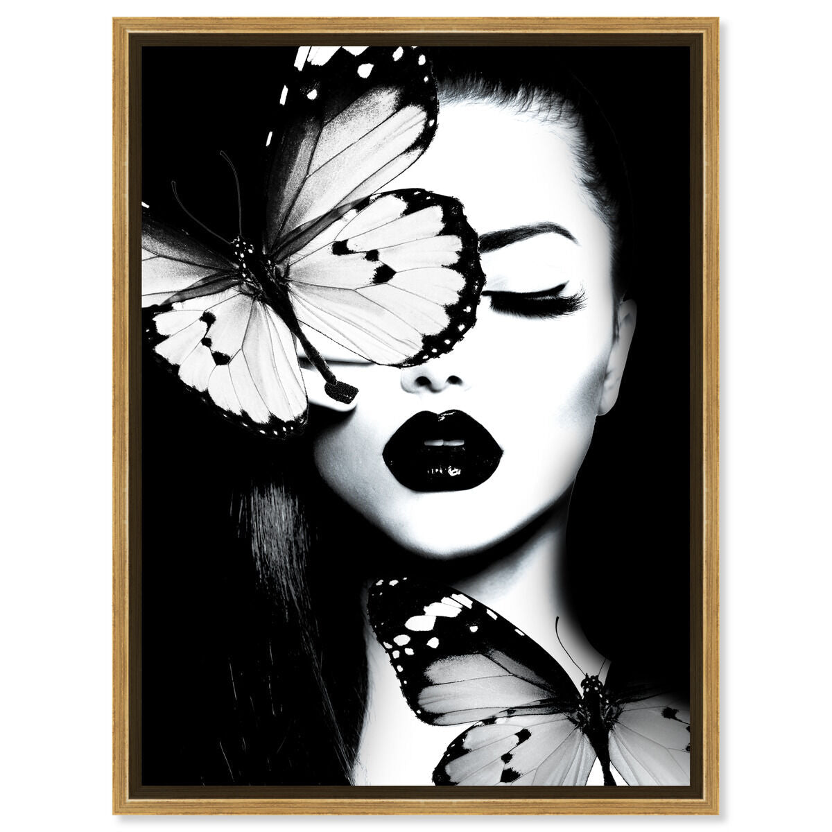 Dutchess of The Butterflies