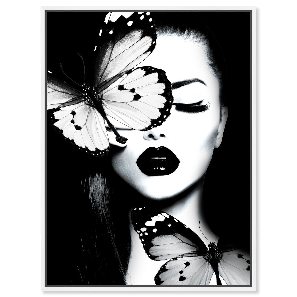 Dutchess of The Butterflies