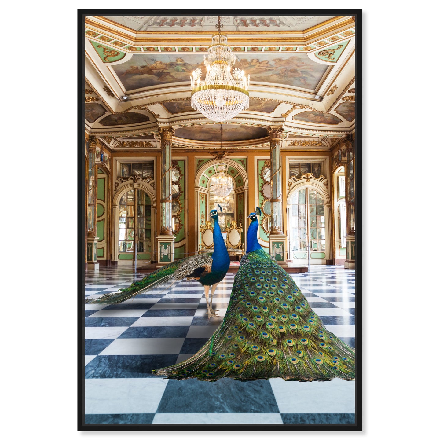 Ballroom Beauties
