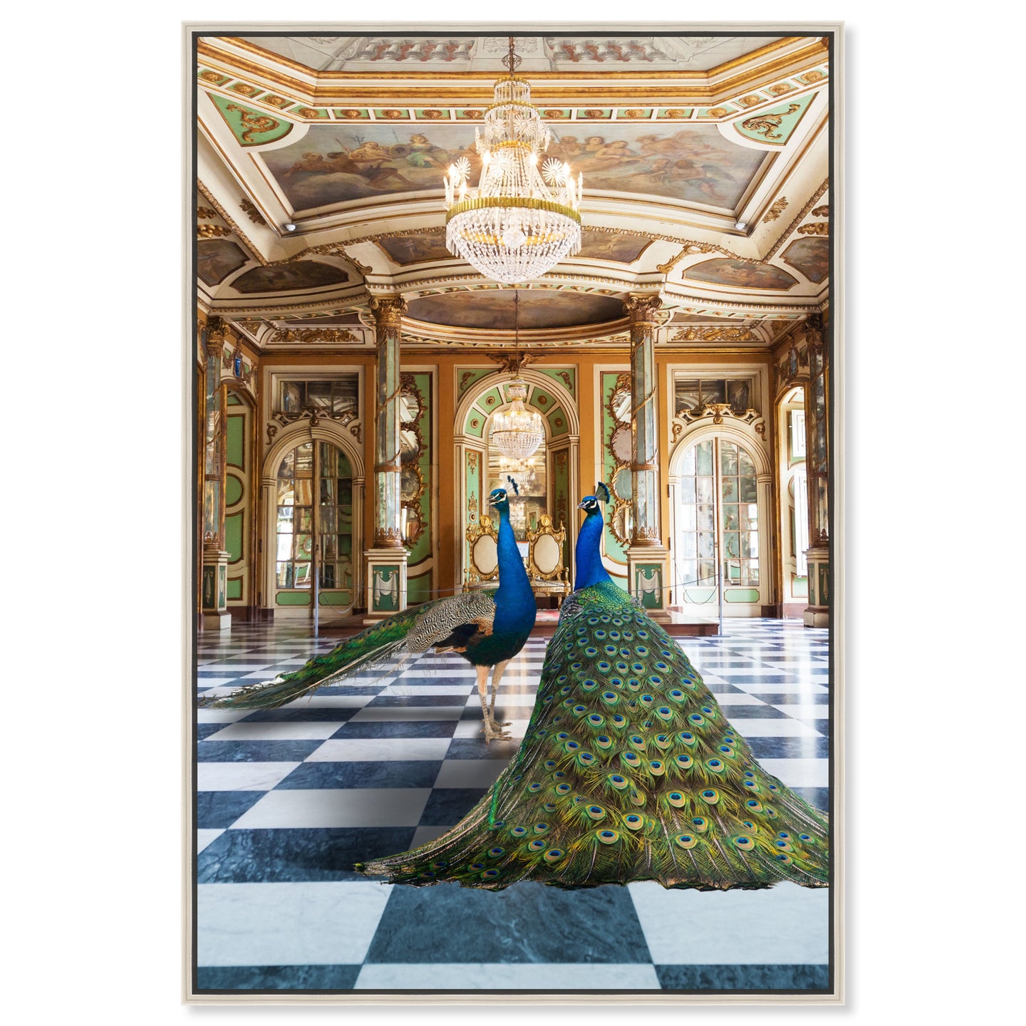 Ballroom Beauties
