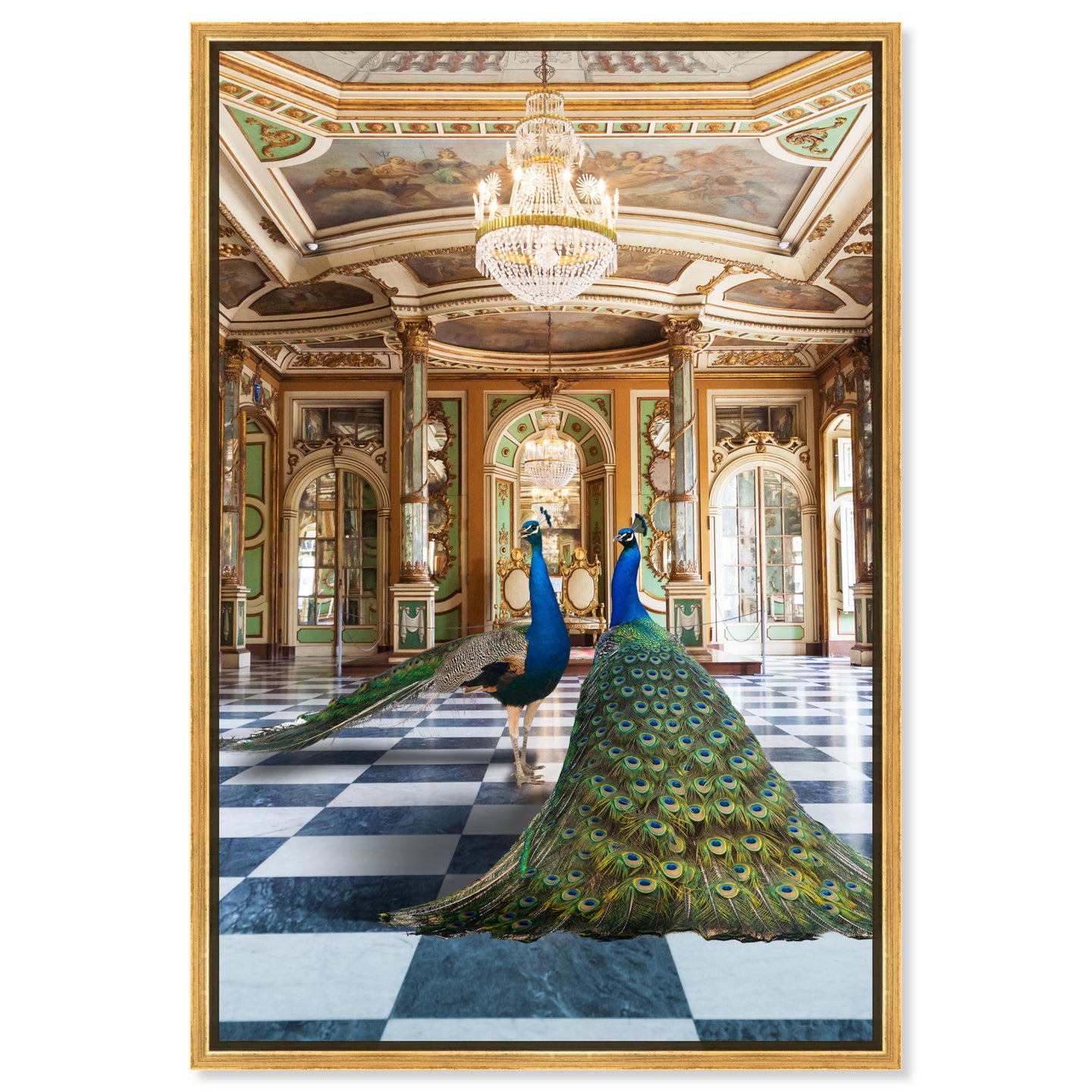 Ballroom Beauties