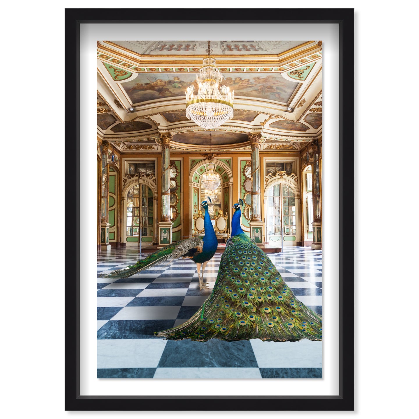 Ballroom Beauties