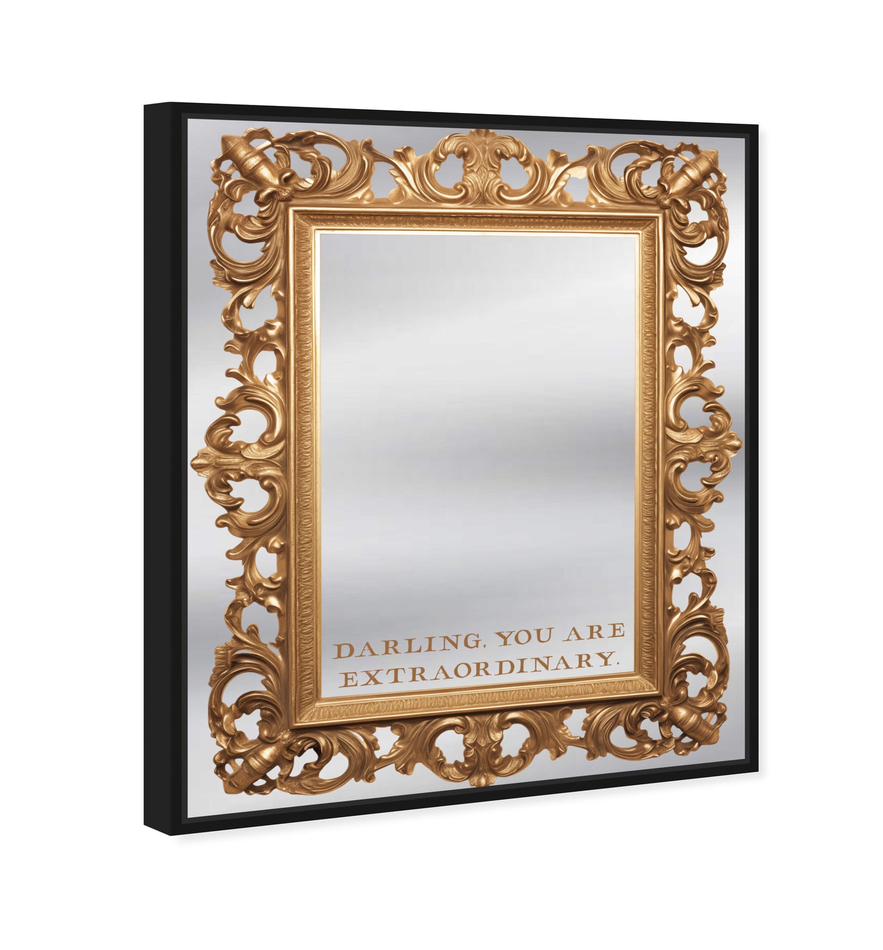 Extraordinary - Decorative Mirror