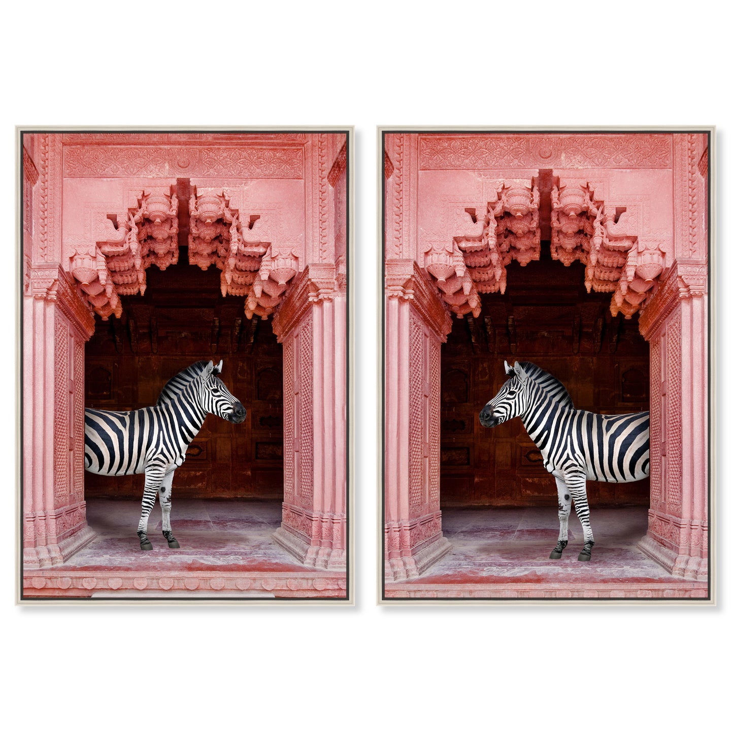 Zebras Apartment is Coral Pink Set