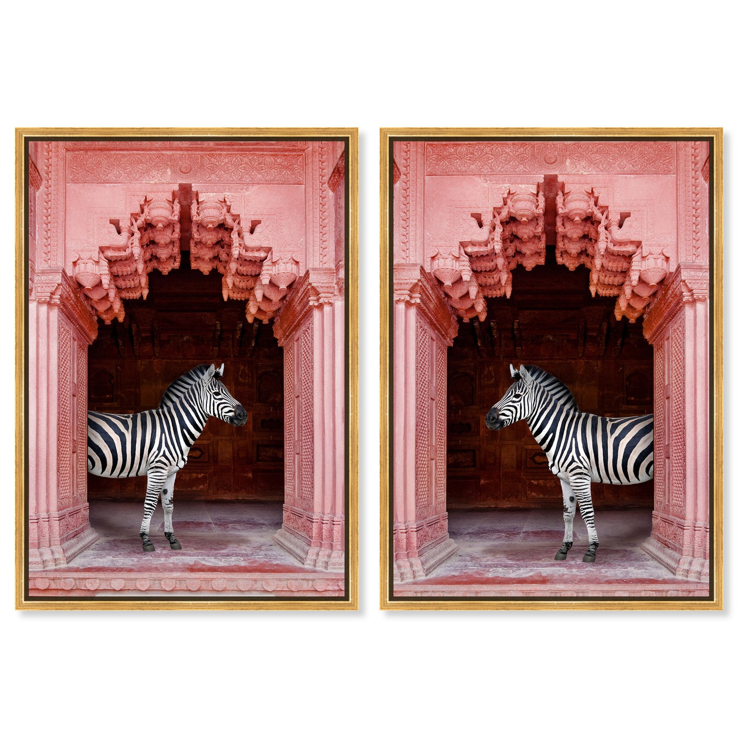Zebras Apartment is Coral Pink Set