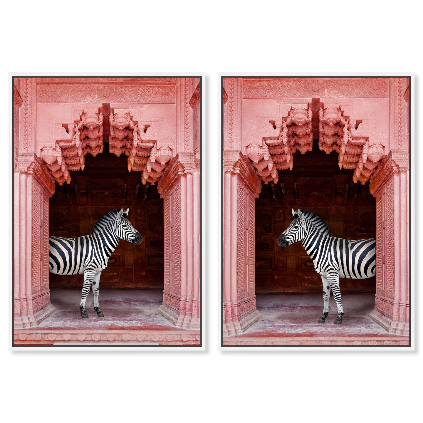 Zebras Apartment is Coral Pink Set