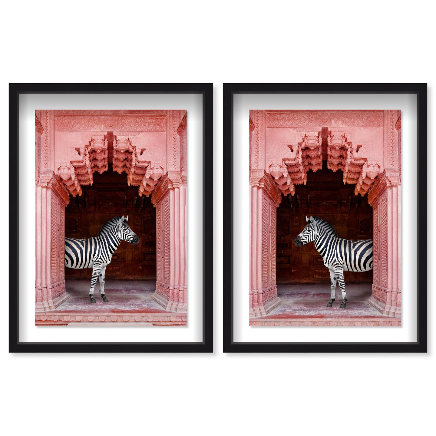 Zebras Apartment is Coral Pink Set