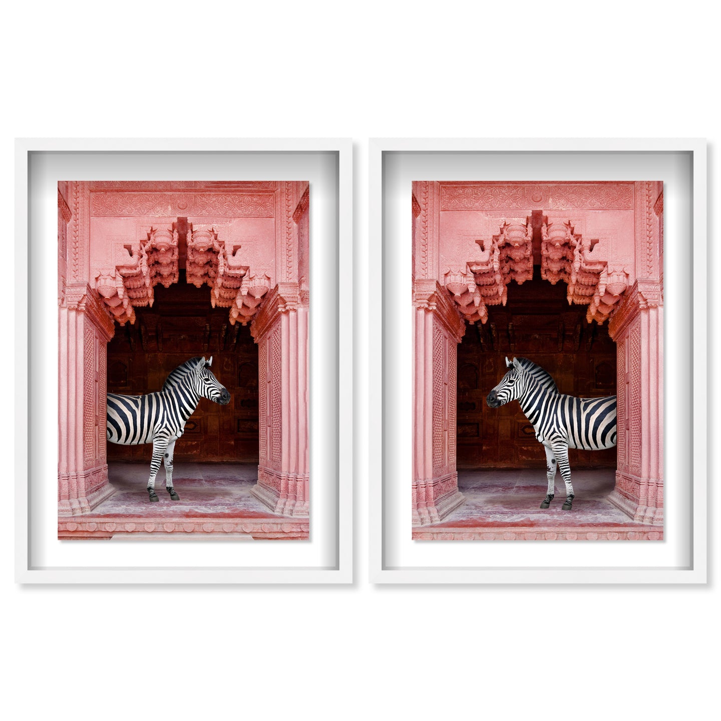 Zebras Apartment is Coral Pink Set