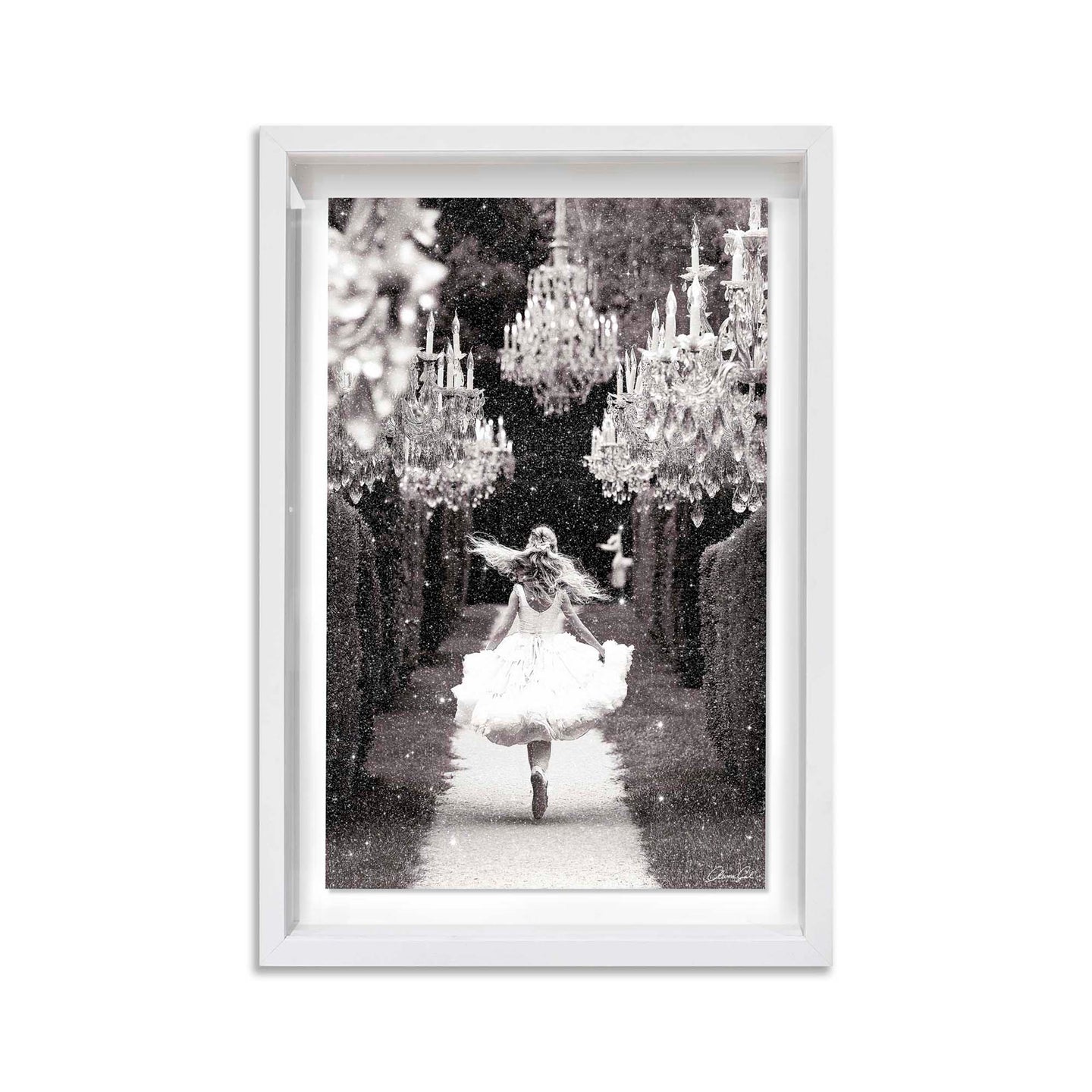 30x45/Shadowbox/SBW2