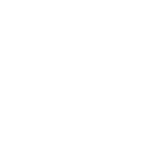 TRADE PROGRAM