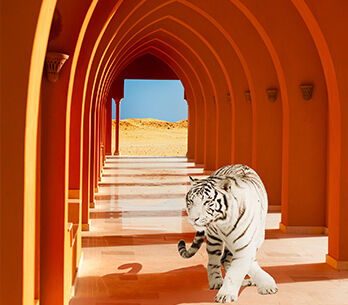 Orange Art