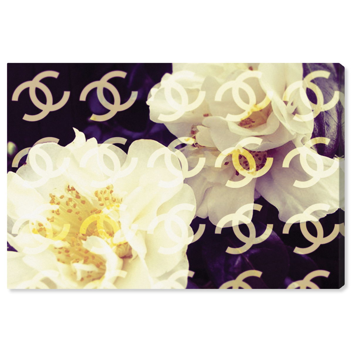 Coco's Camellia Vanilla