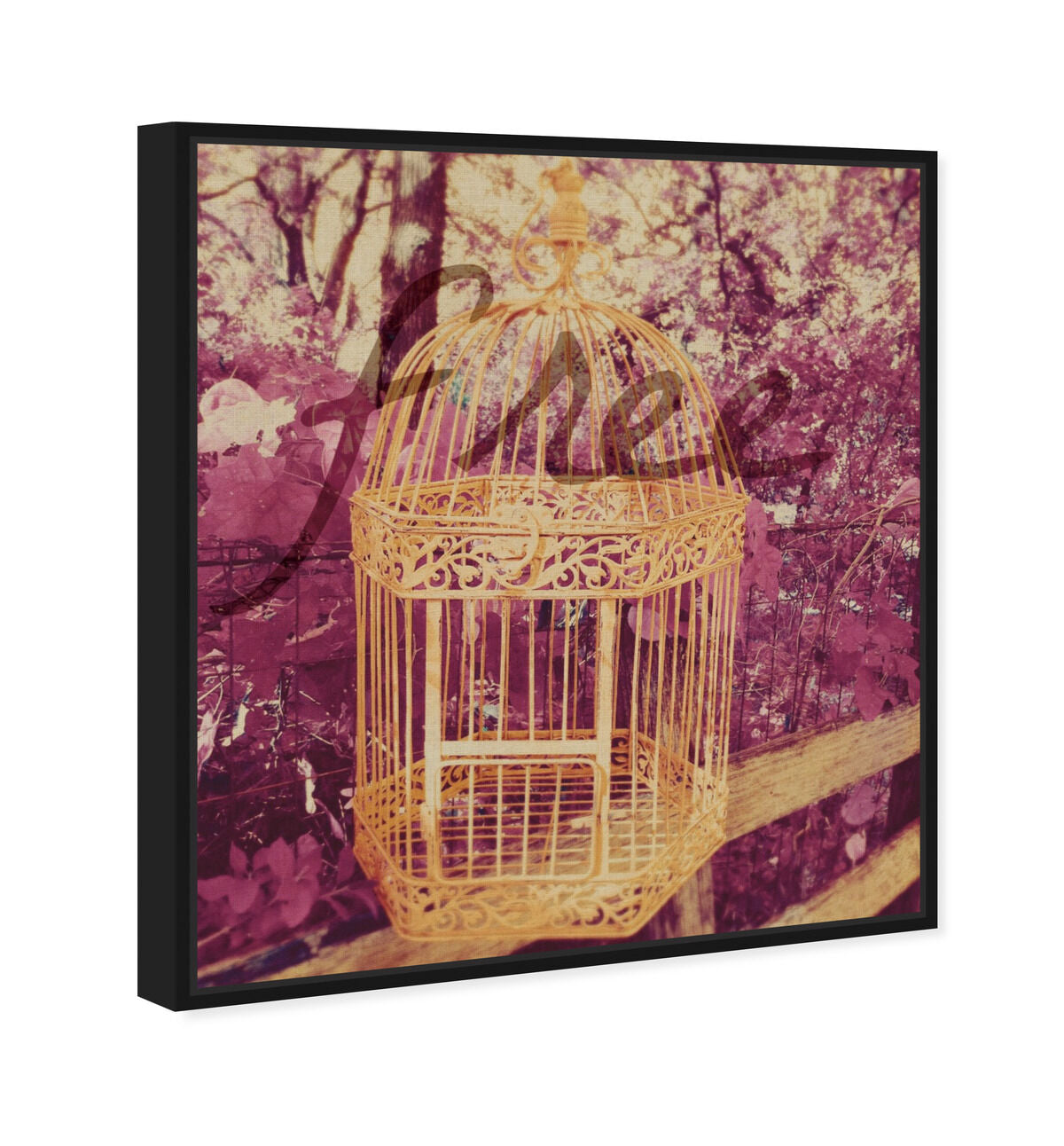 36x45/Framed Canvas/BFL
