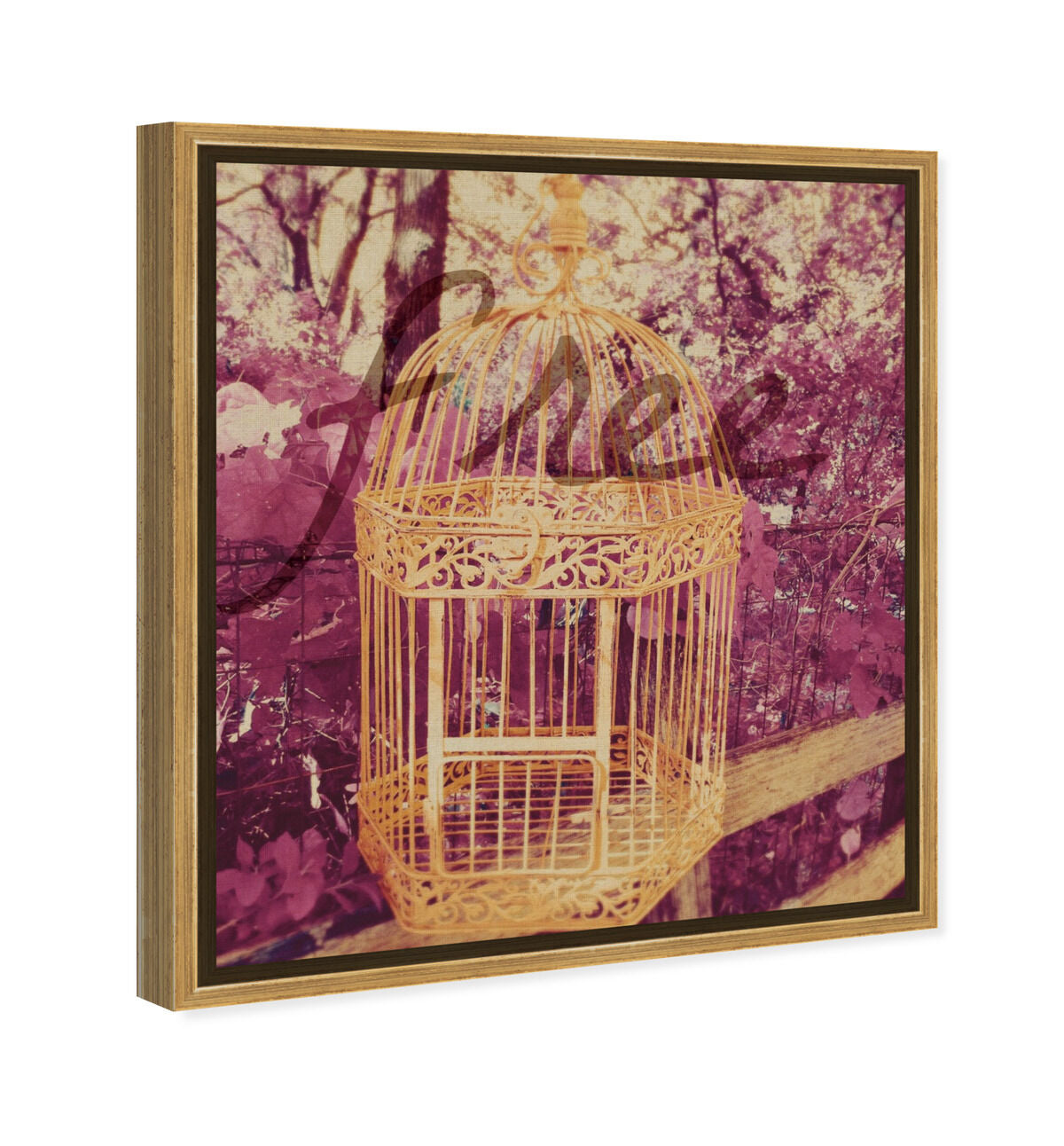 36x45/Framed Canvas/PSGLD