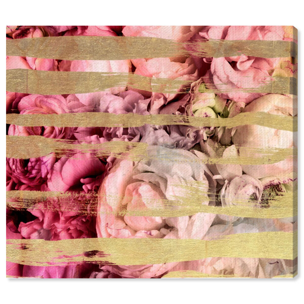Fields Of Rose