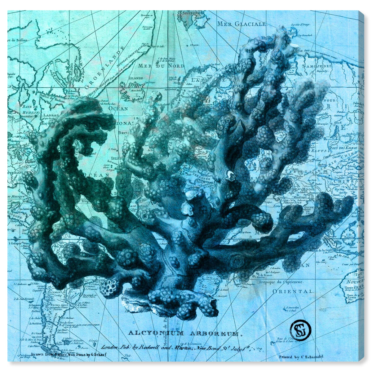 Oceana