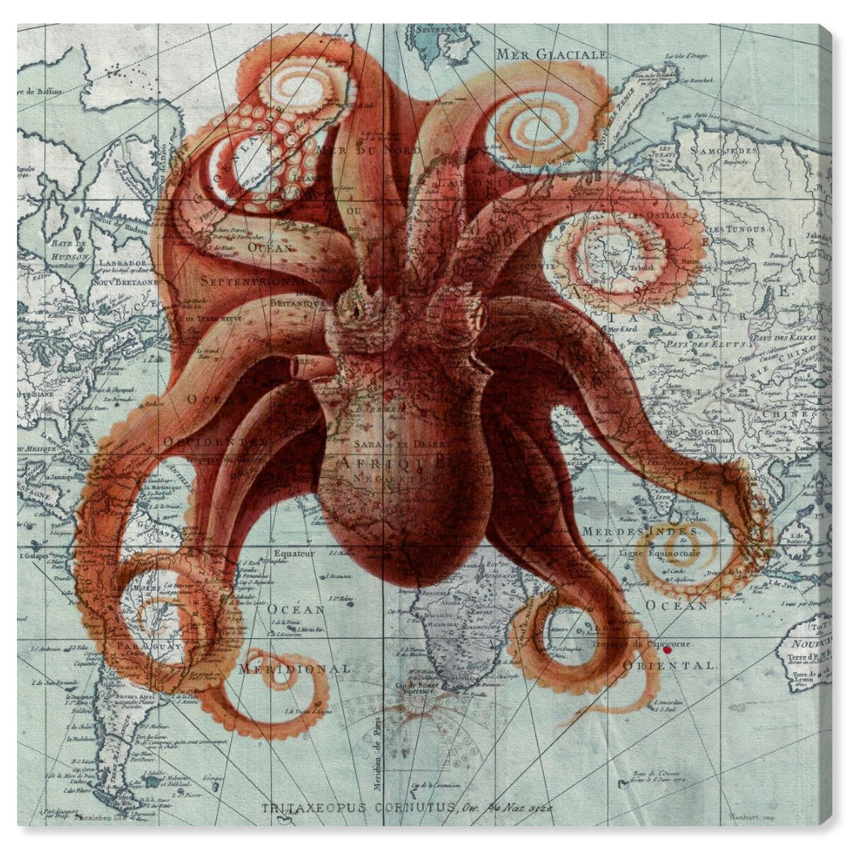Octopus I | Wall Art by Oliver Gal