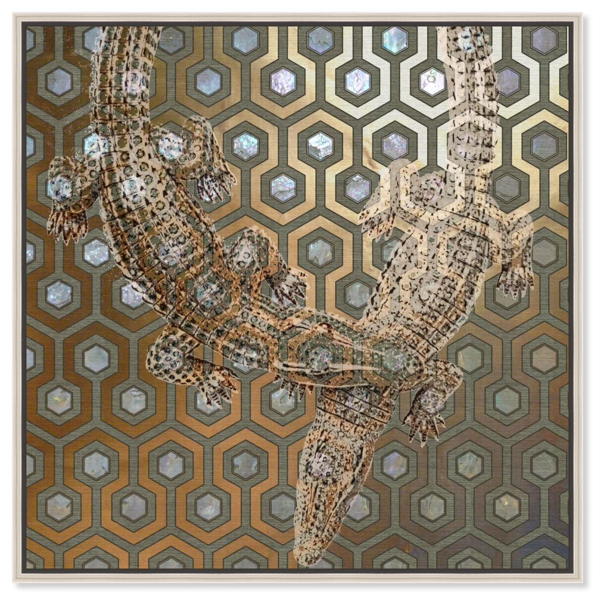 40x40/Canvas/CFL