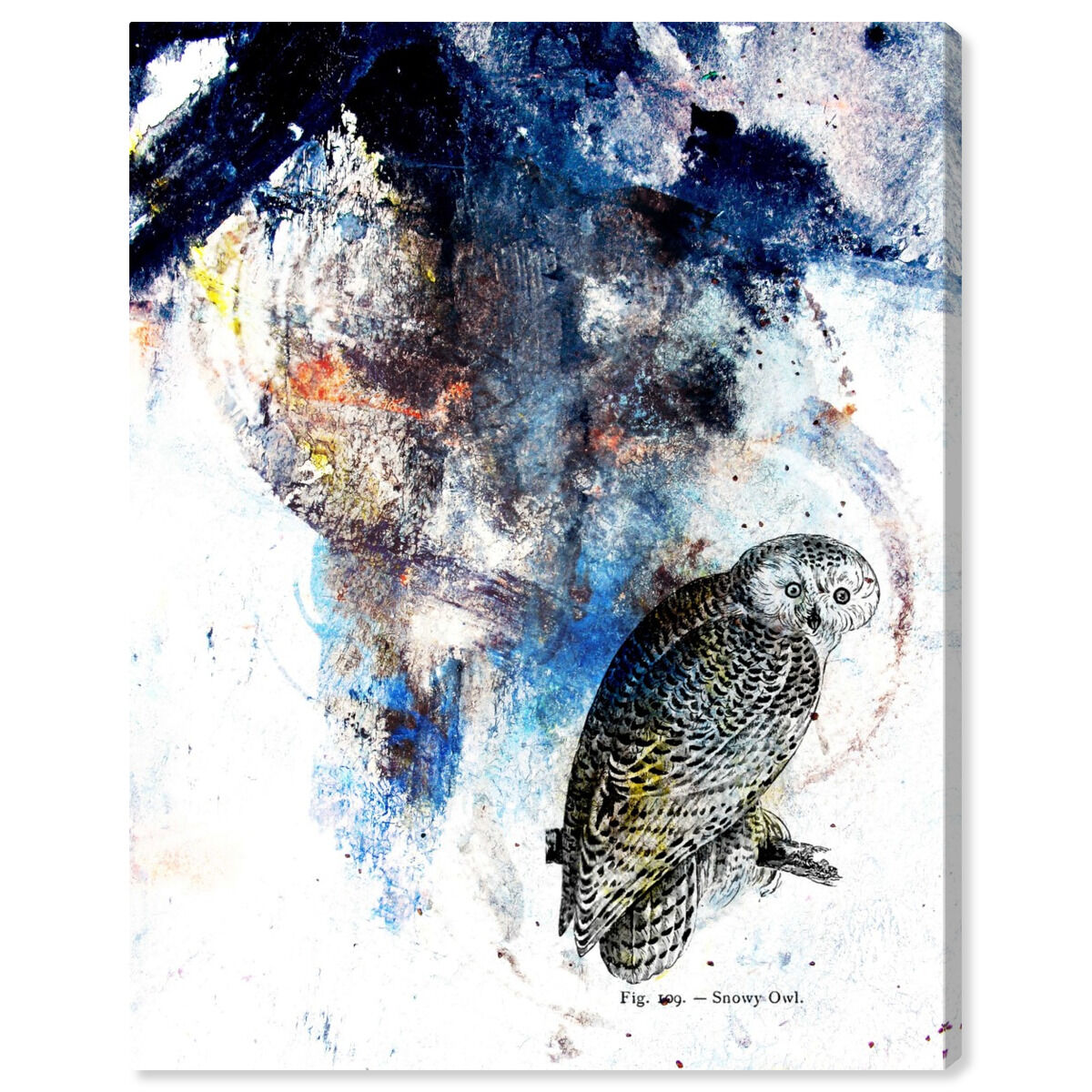 36x45/Canvas/XHD