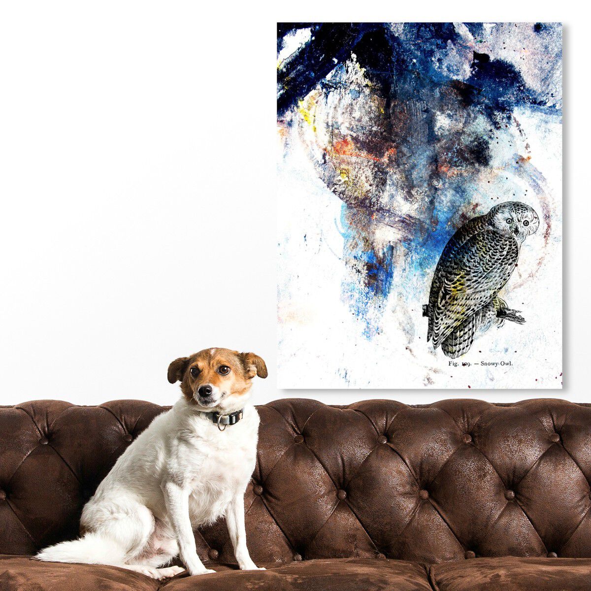 36x45/Canvas/XHD