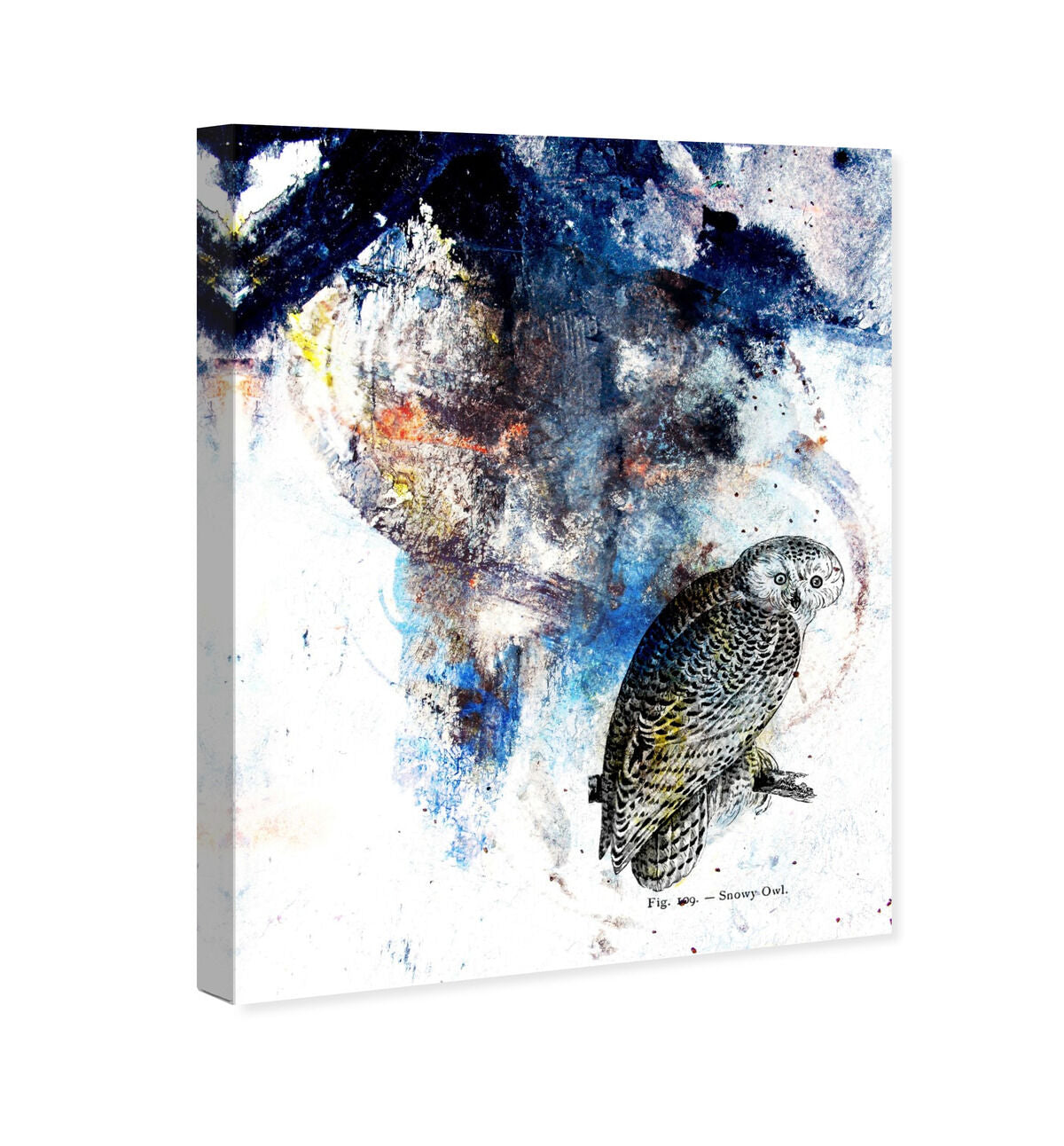 36x45/Canvas/XHD