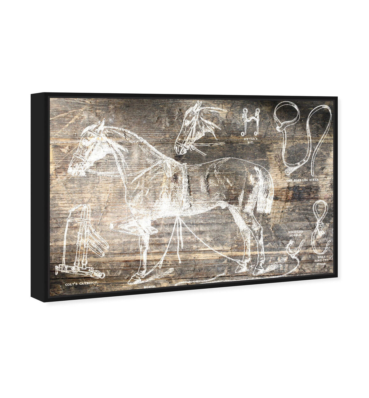 54x36/Framed Canvas/BFL