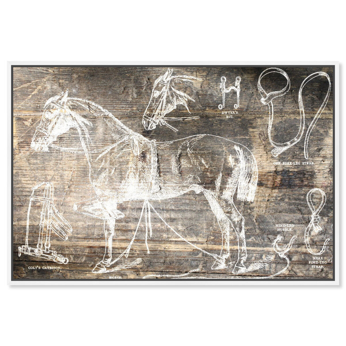 54x36/Framed Canvas/WFL