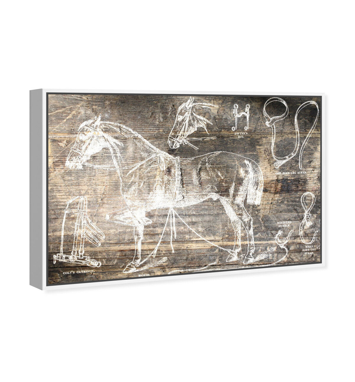54x36/Framed Canvas/WFL