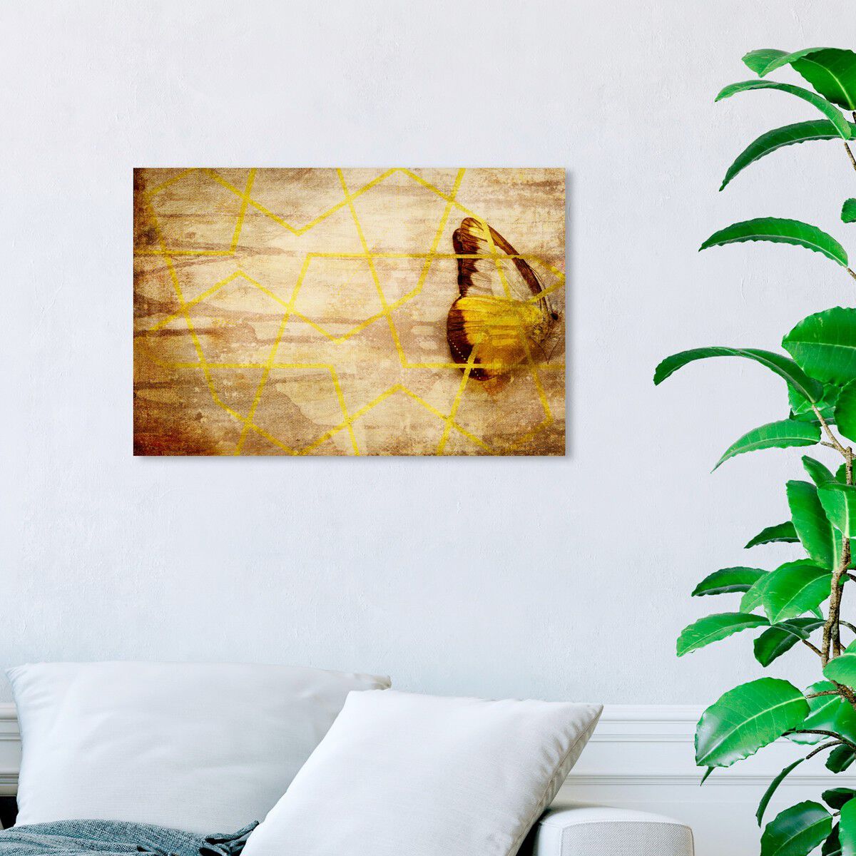 54x36/Canvas/XHD