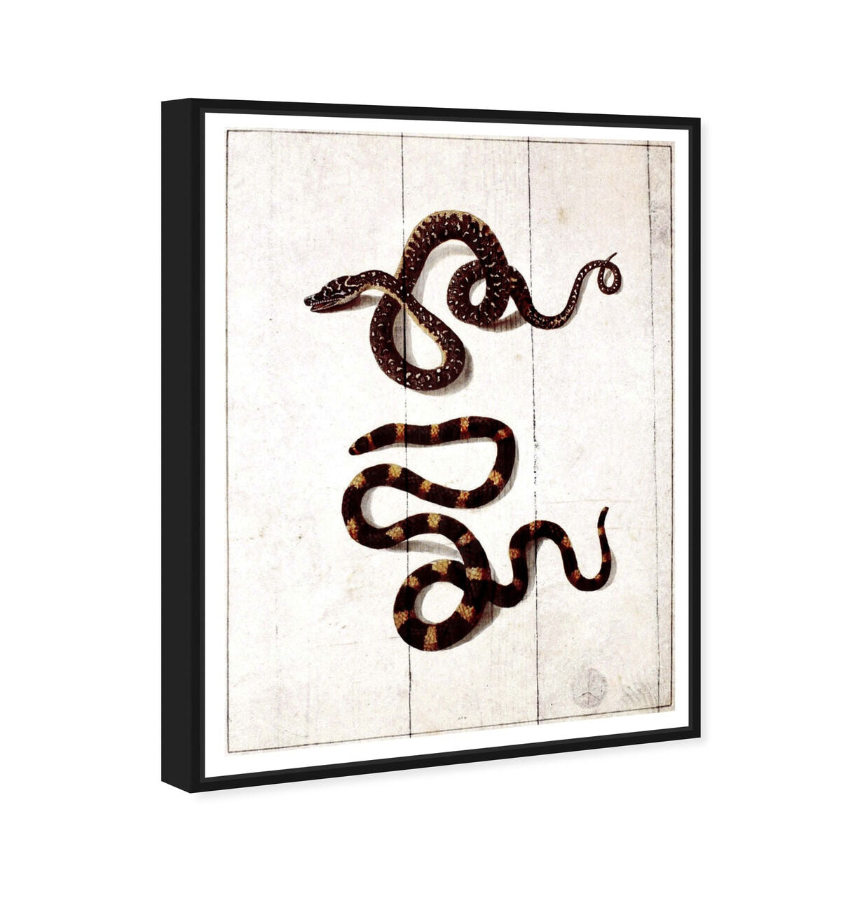 36x54/Framed Canvas/BFL