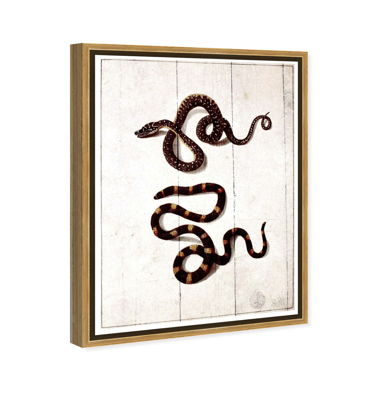 36x54/Framed Canvas/PSGLD