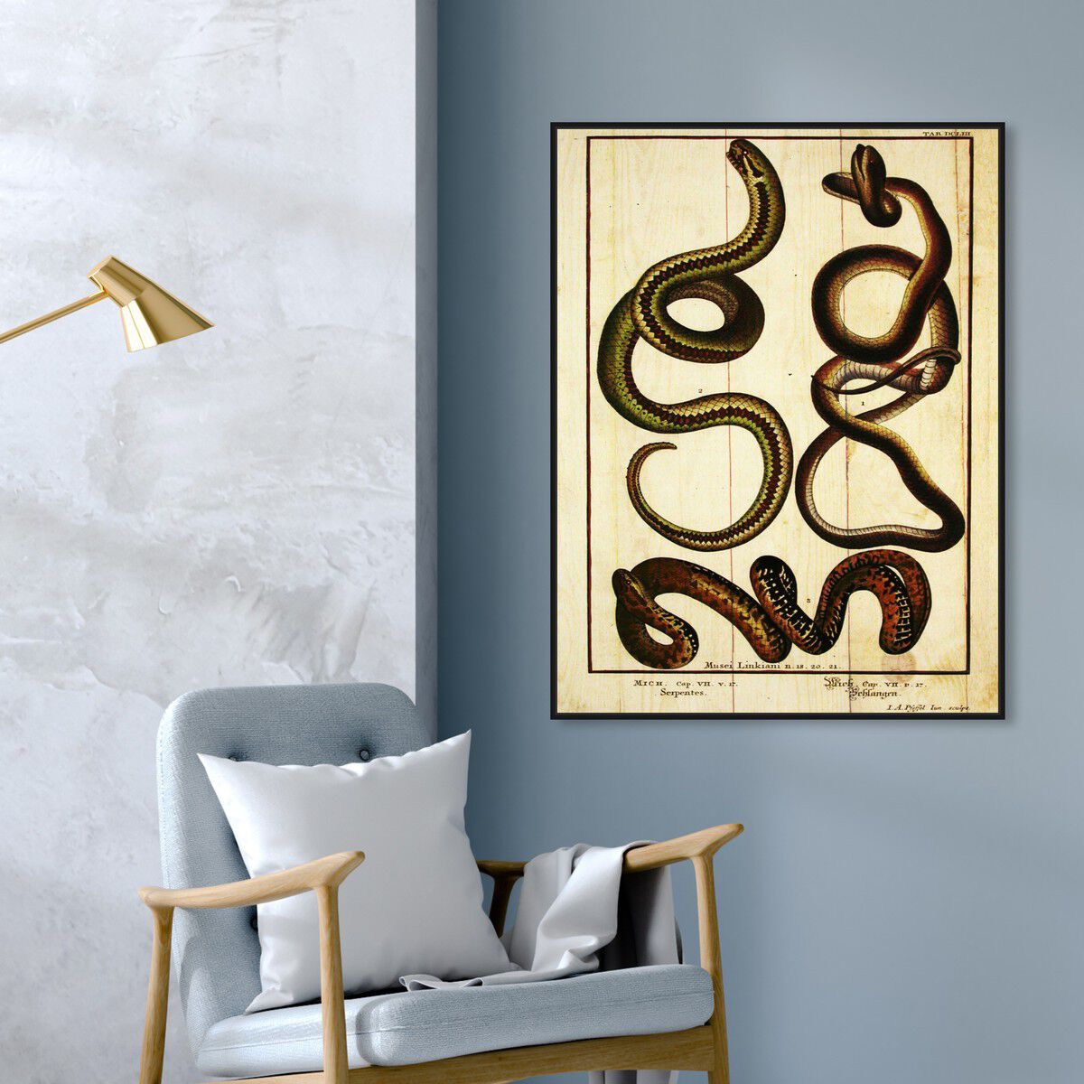 36x45/Framed Canvas/BFL