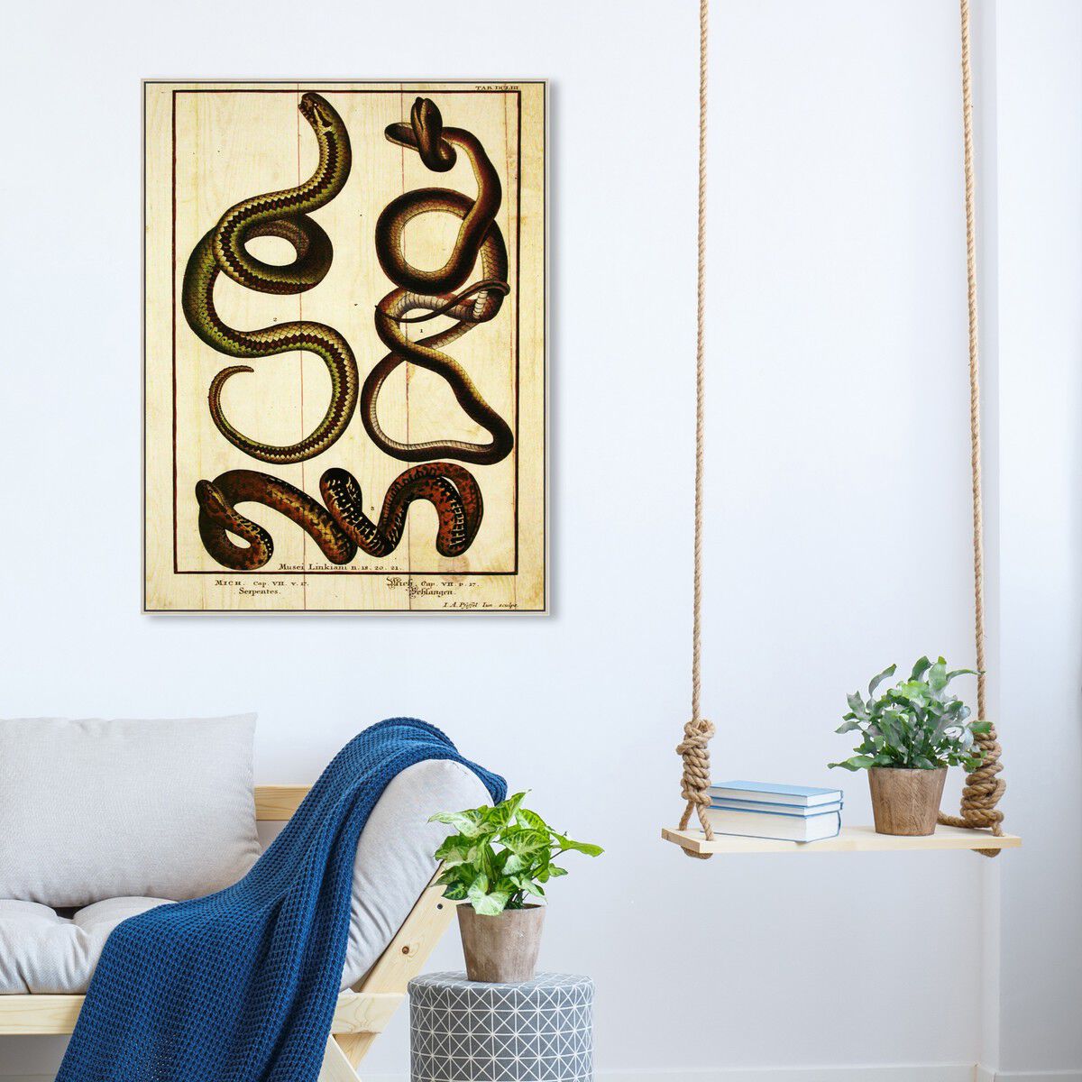 36x45/Framed Canvas/CFL