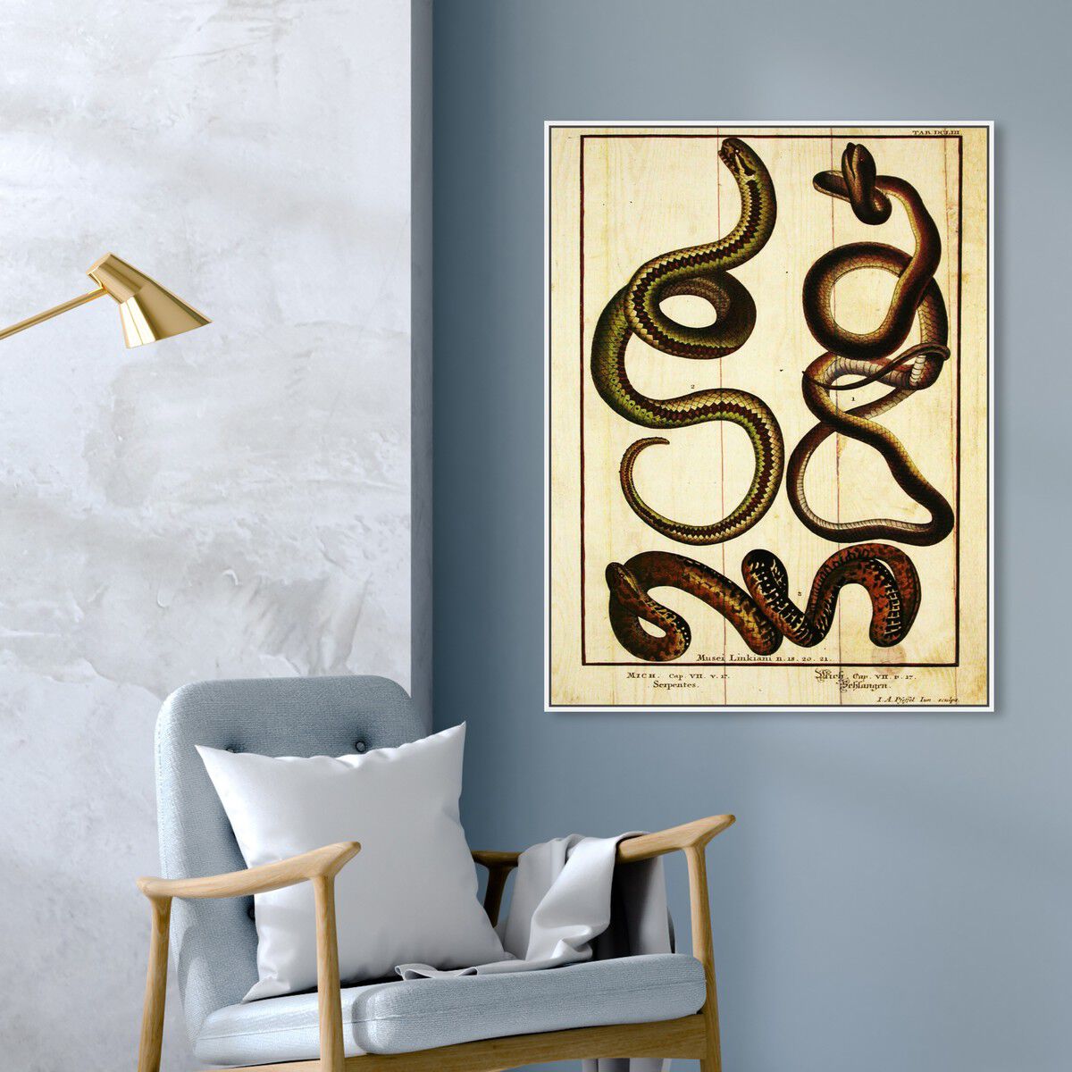 36x45/Framed Canvas/WFL