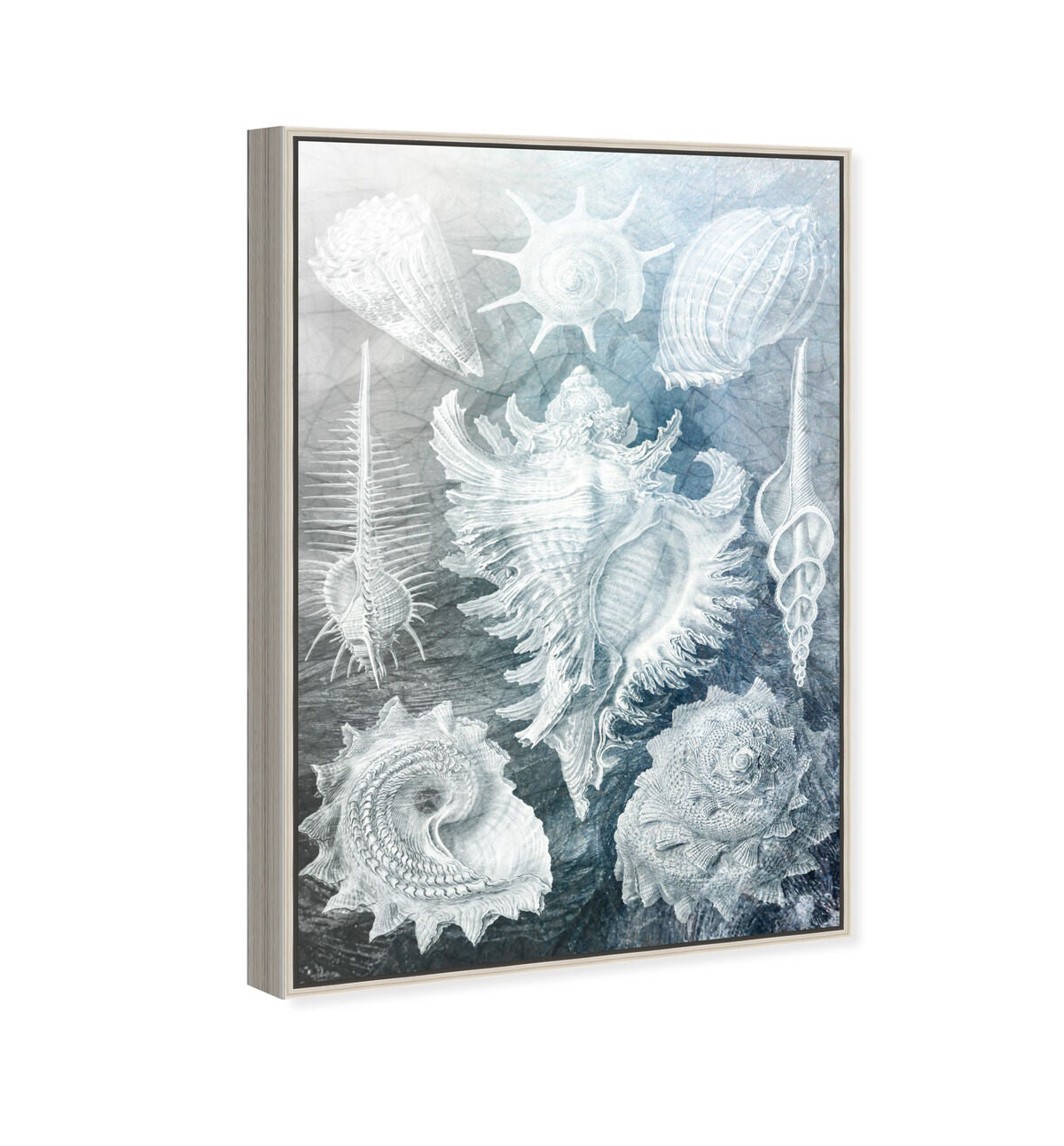 36x54/Framed Canvas/CFL