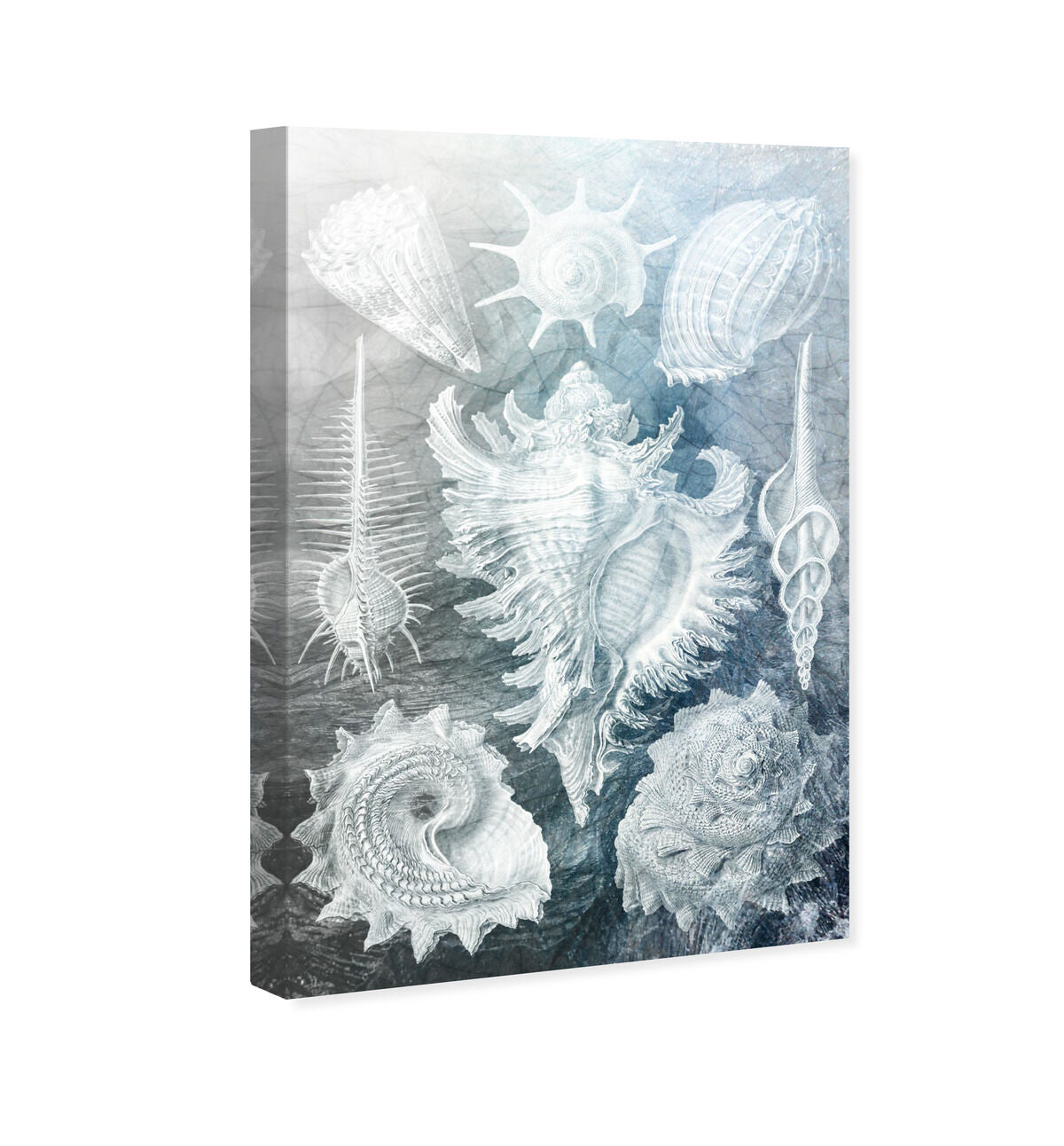 36x54/Canvas/XHD