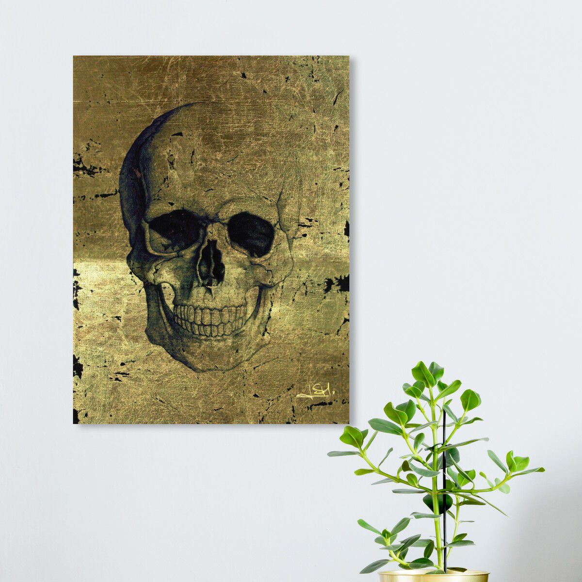 36x45/Canvas/XHD