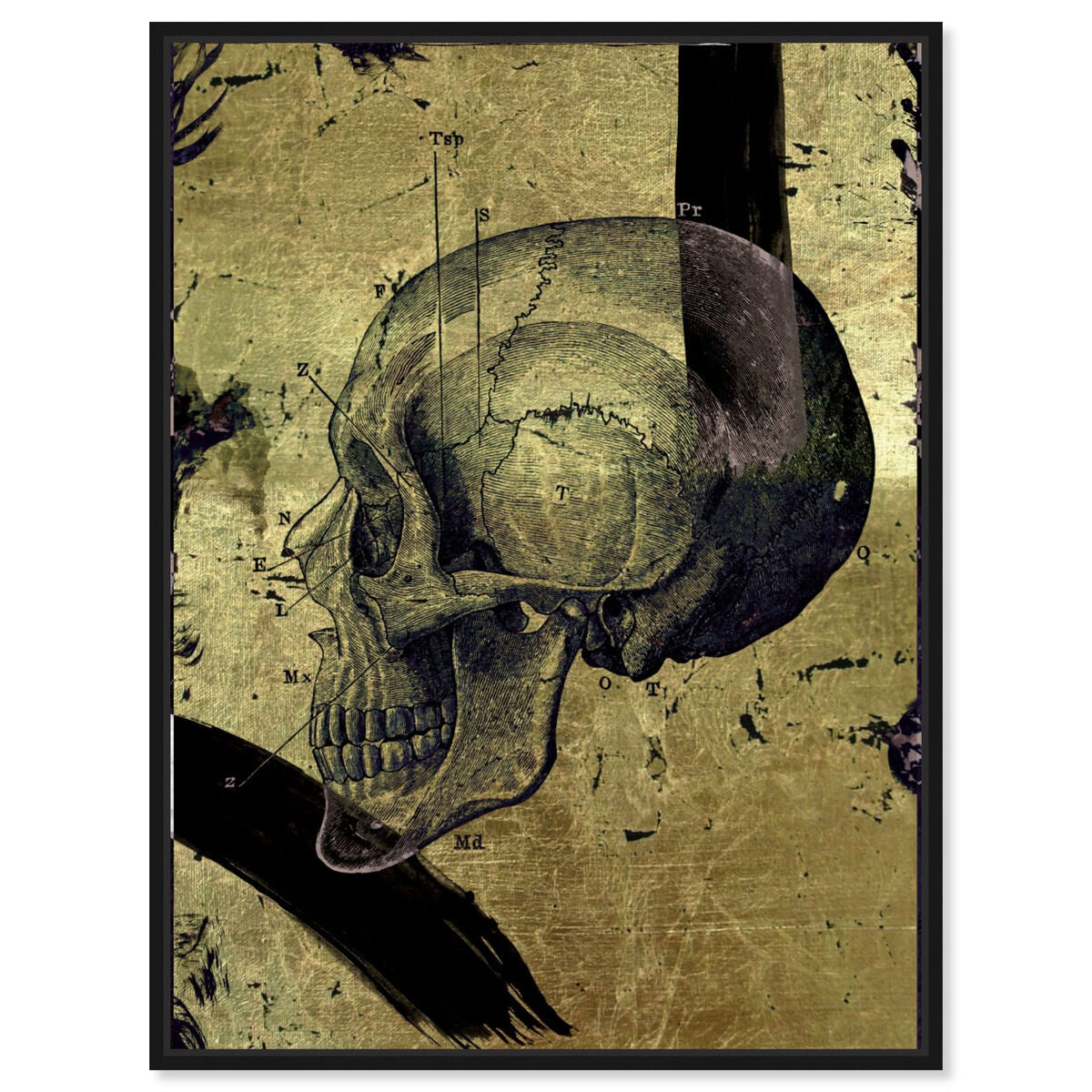 36x45/Framed Canvas/BFL