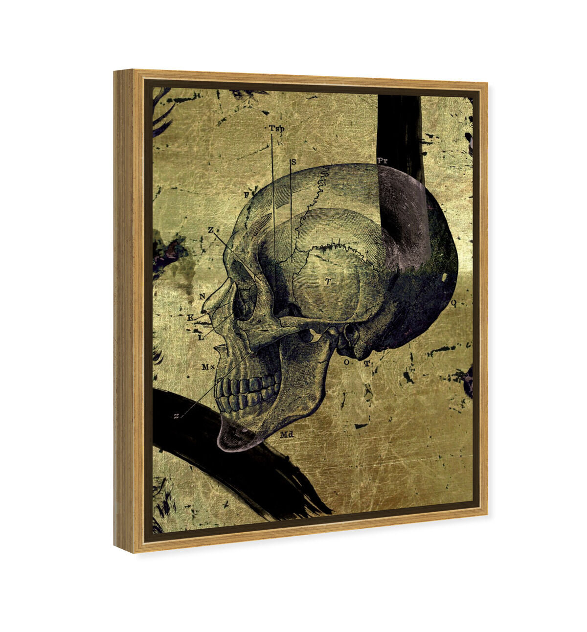 36x45/Framed Canvas/PSGLD