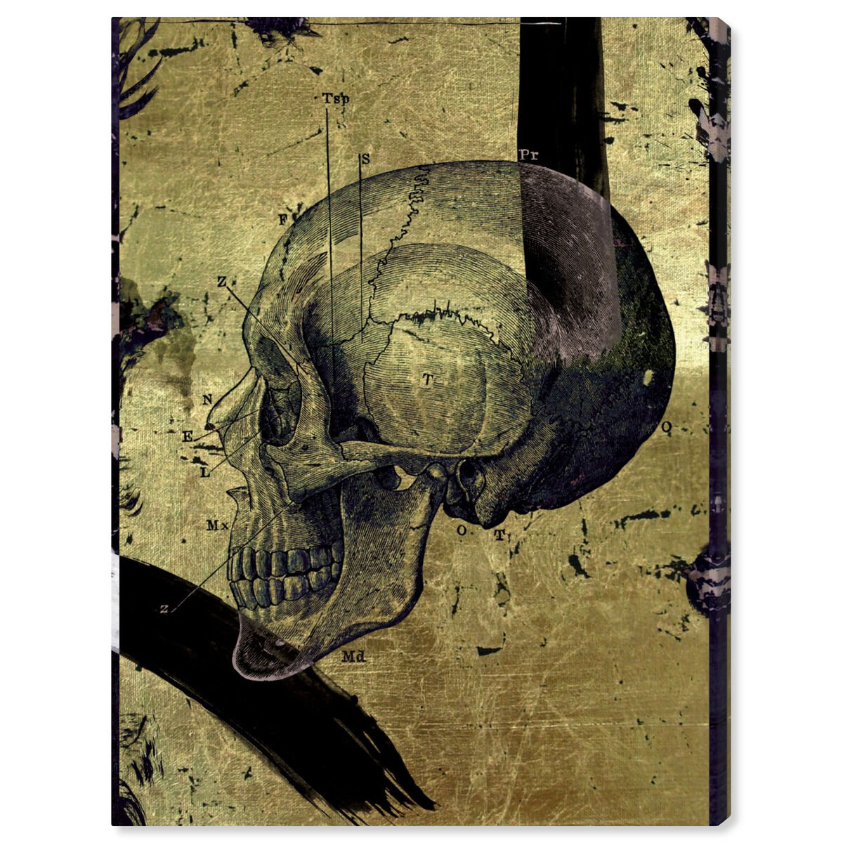 Calavera de Oro Dos