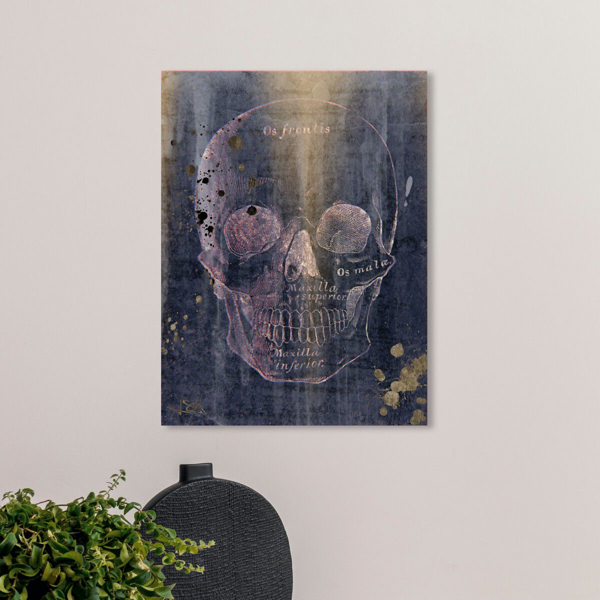 36x45/Canvas/XHD
