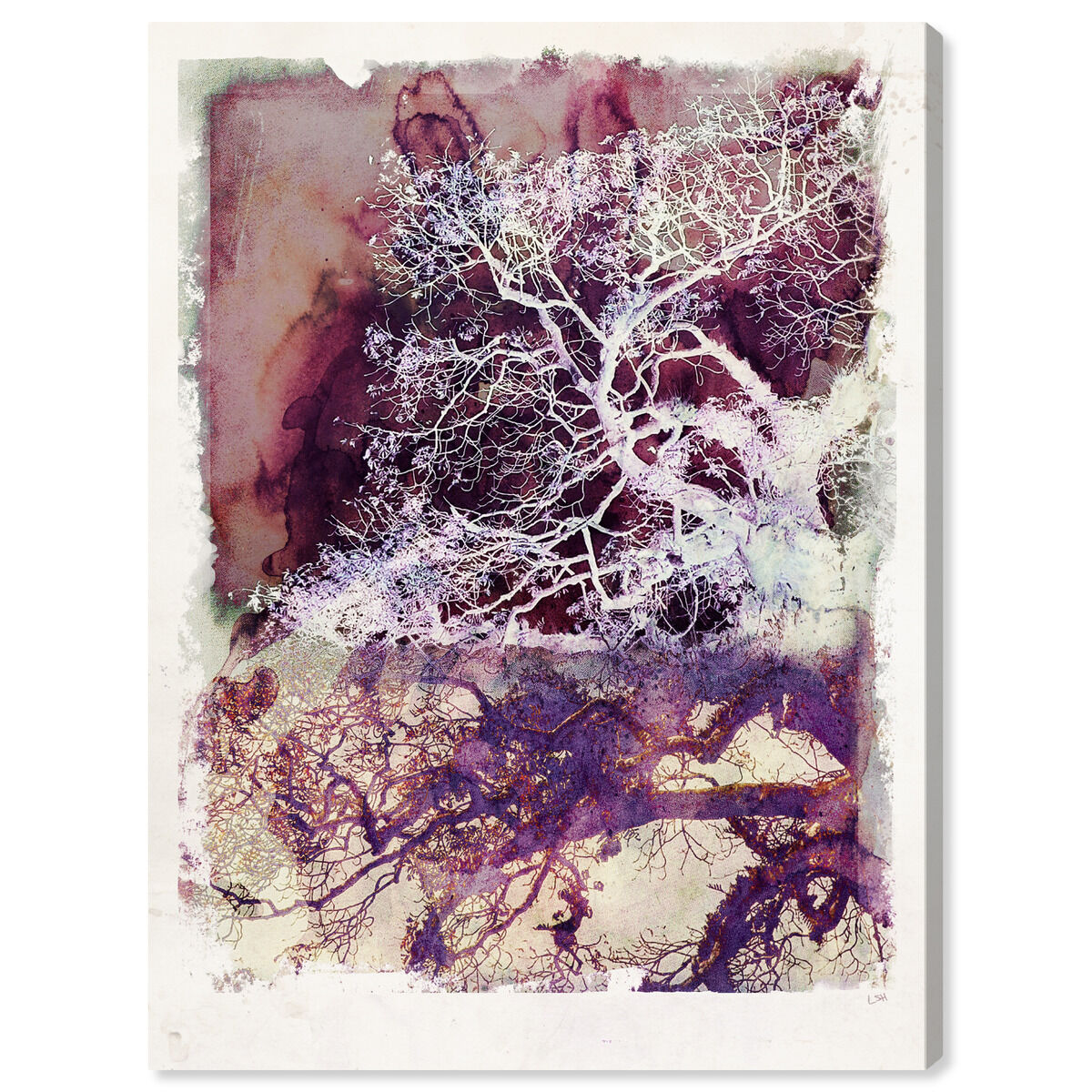 36x45/Canvas/XHD