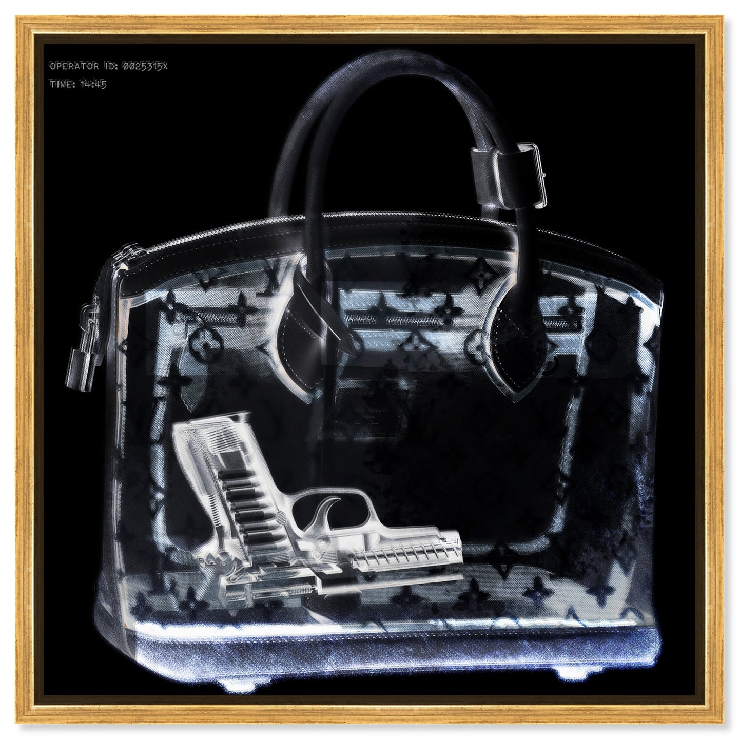 Couture X Ray