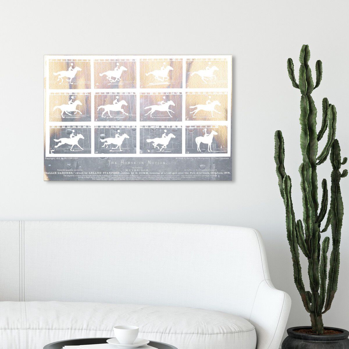 54x36/Canvas/XHD